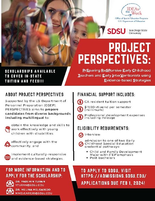 Download Project Perspectives Flyer