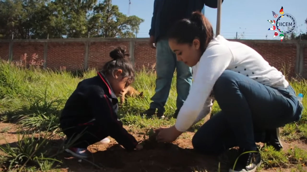 San Diego University - Reforestacion Oaxaca - Grandes Maestros