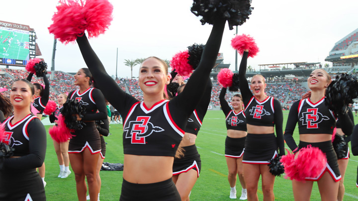Several cheerleaders in red and black  perform during a college football game/
