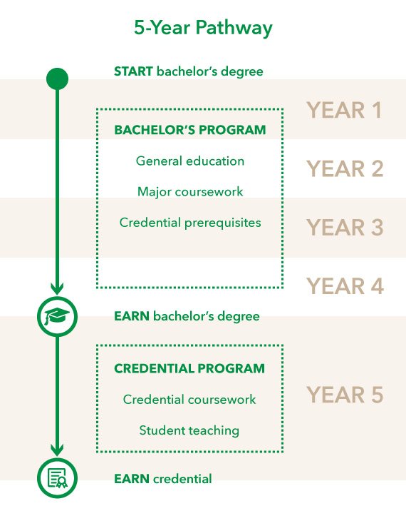 Infographic about 5-year pathway